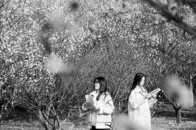 教育治理的关键在于制度现代化 教育治理的关键在于制度现代化