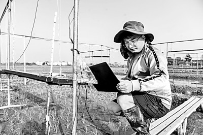 重新思考本科教育定位